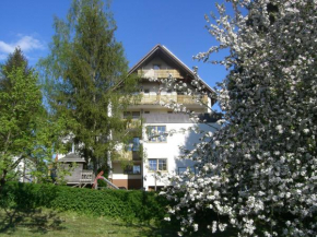 Отель Gasthof Frankenstuben  Эберн